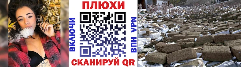 ГАШ Ice-O-Lator  OMG вход  Судогда 