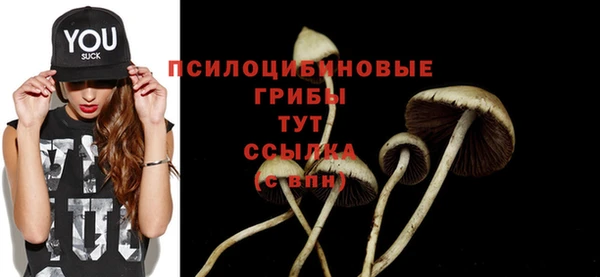 дмт Абинск