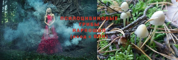 не бодяженный Абдулино