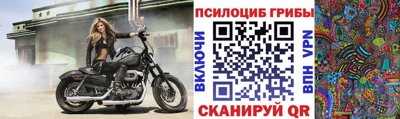 продажа наркотиков  Судогда  Псилоцибиновые грибы ЛСД 