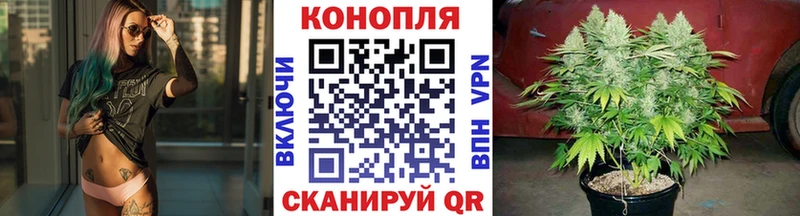 Шишки марихуана ГИДРОПОН  хочу   Судогда 